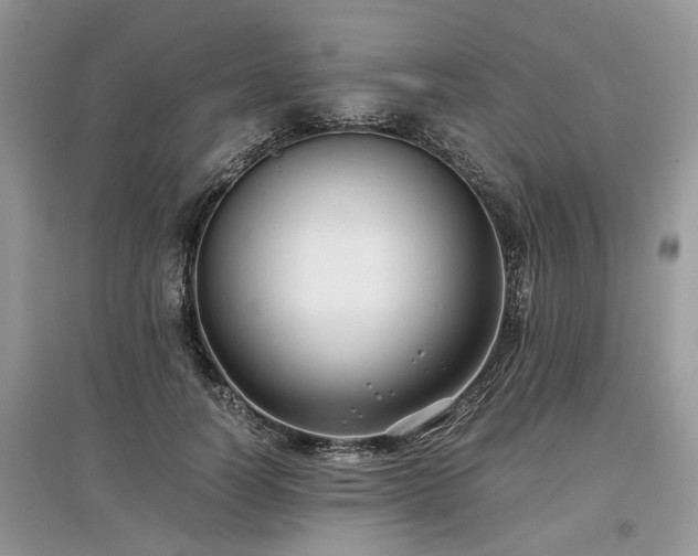 X0000097640746200803071553