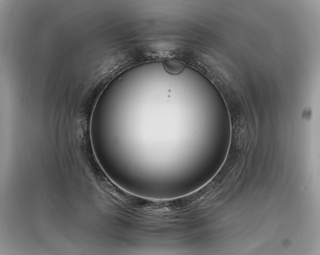 X0000097640747200803071553