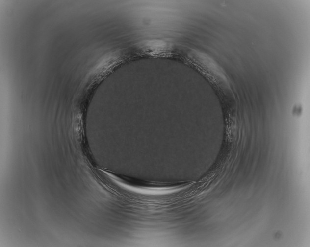 X0000097640748200803071553