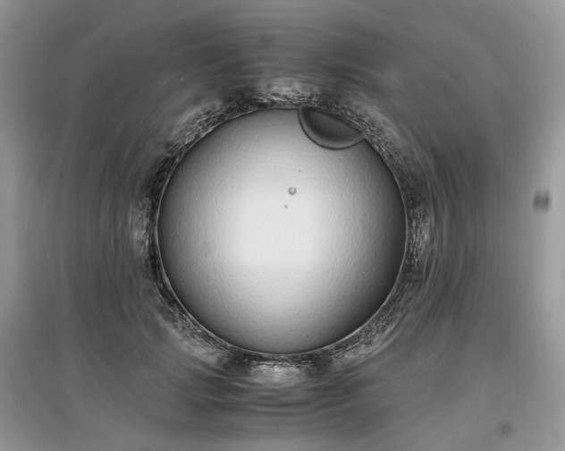 X0000097640749200803071553