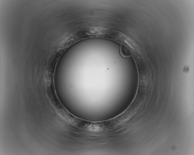 X0000097640751200803071553