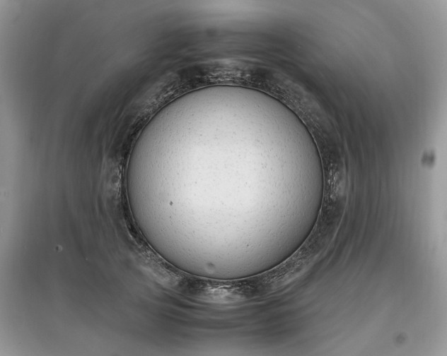 X0000097640753200803071553