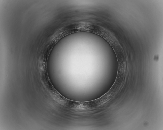 X0000097640755200803071553