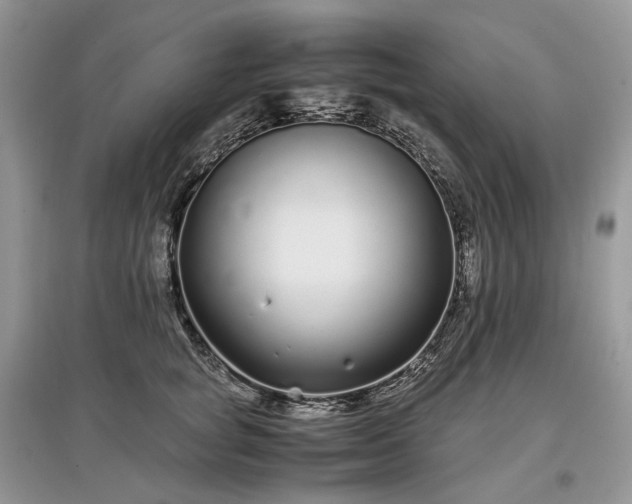 X0000097640757200803071553