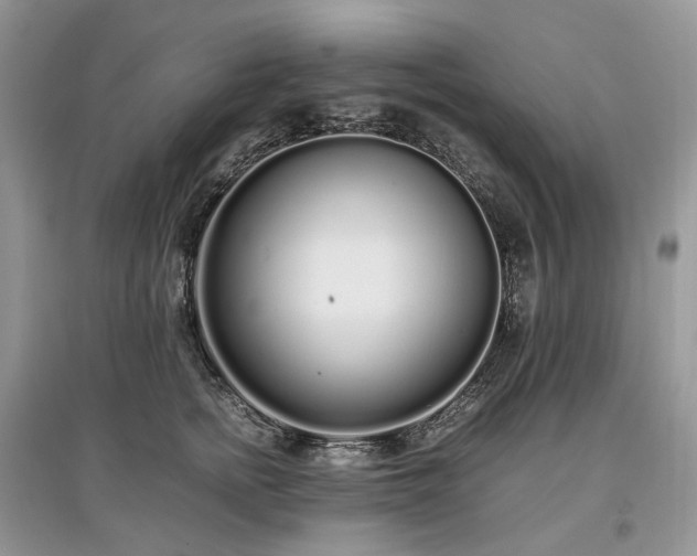 X0000097640758200803071553