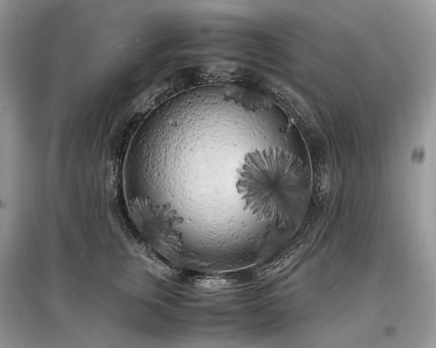 X0000097640759200803071553