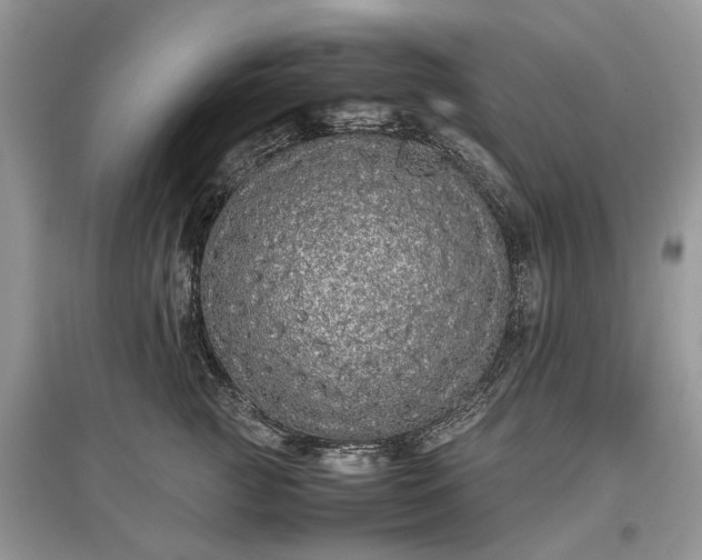 X0000097640761200803071553