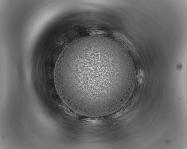 X0000097640763200803071553