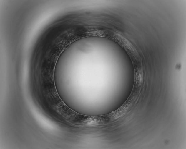 X0000097640764200803071553