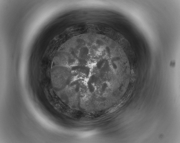 X0000097640765200803071553