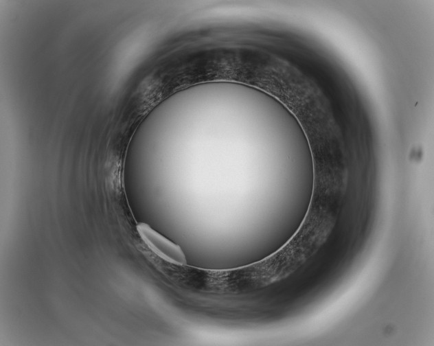 X0000097640766200803071553