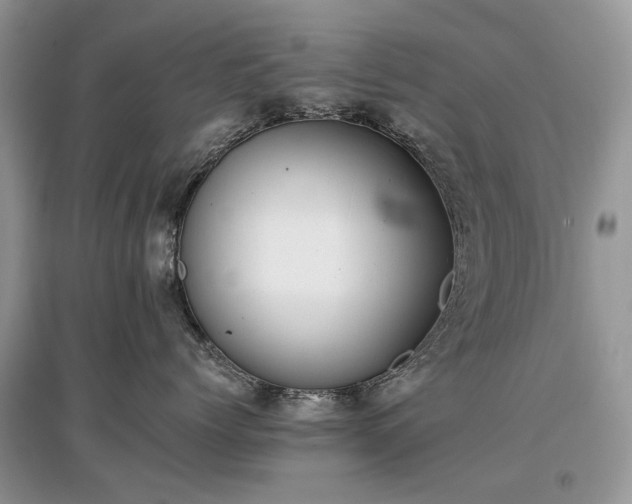 X0000097640768200803071553