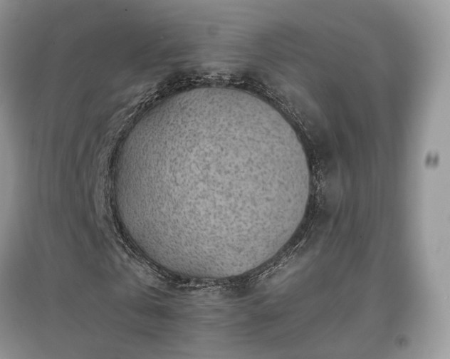 X0000097640769200803071552