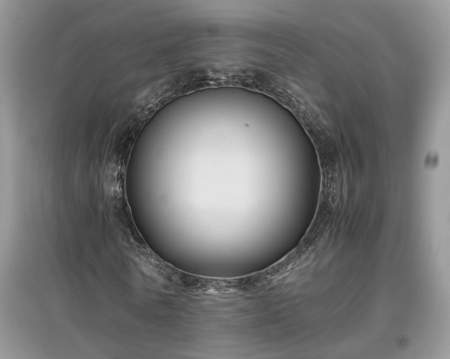 X0000097640770200803071552