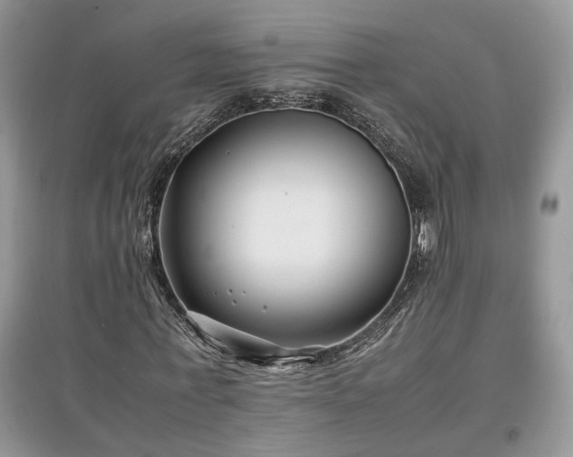 X0000097640771200803071552