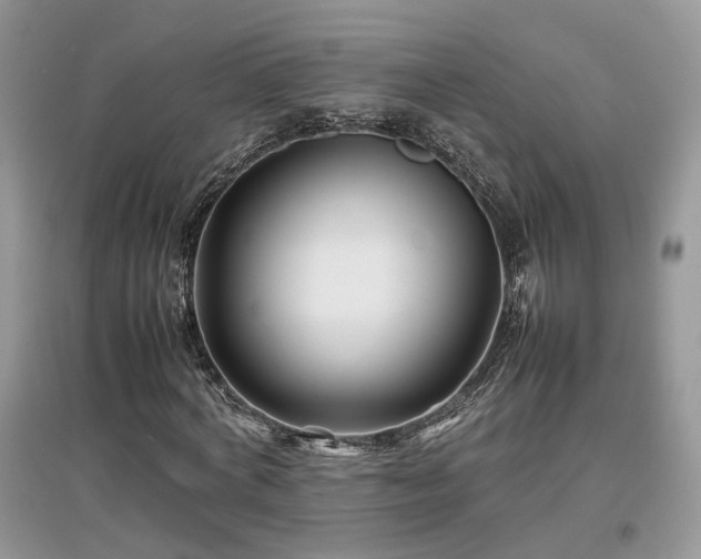 X0000097640772200803071552