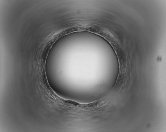 X0000097640773200803071552