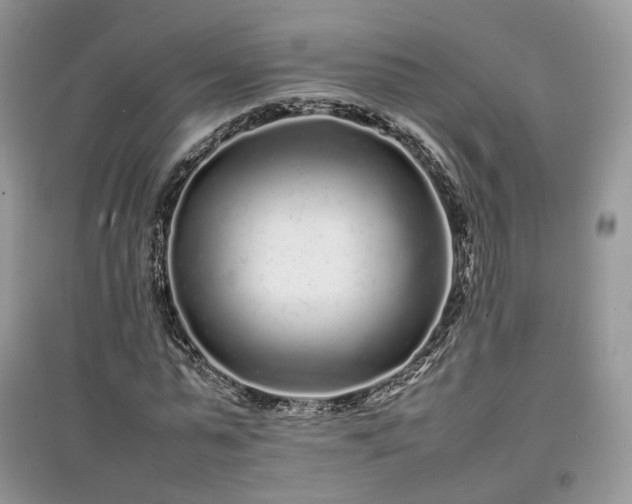 X0000097640775200803071552