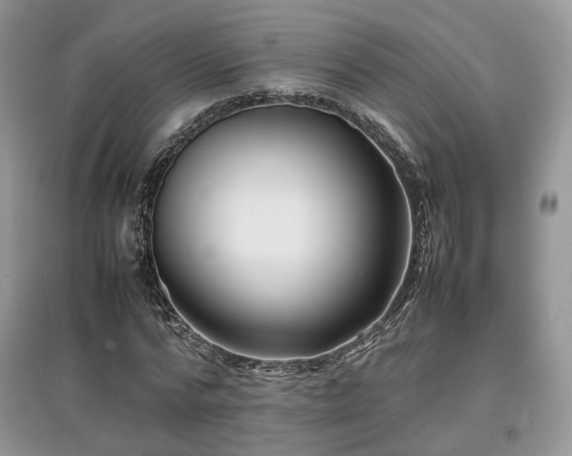 X0000097640776200803071552