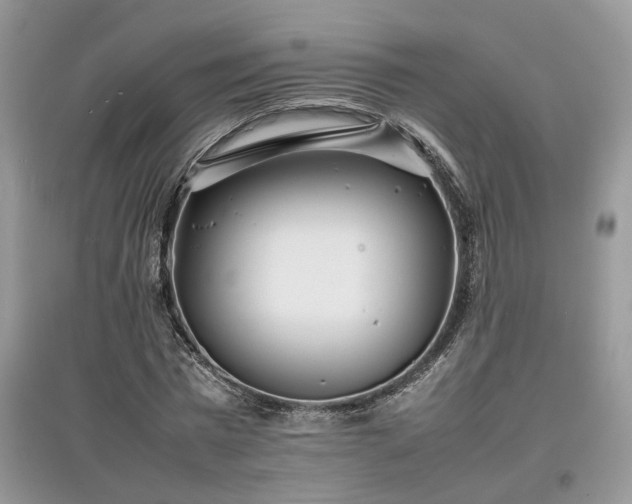 X0000097640777200803071552