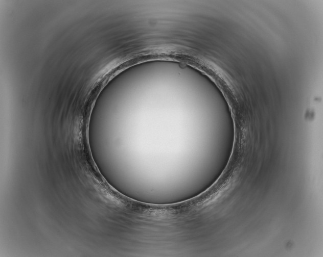 X0000097640778200803071552