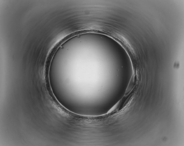 X0000097640780200803071552