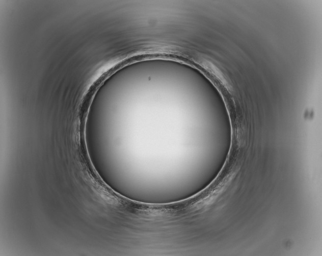 X0000097640781200803071552