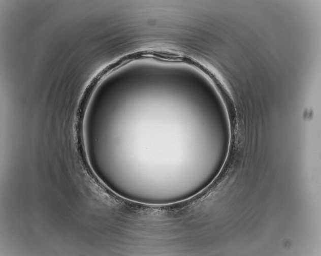 X0000097640783200803071552