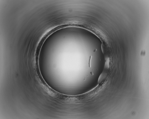 X0000097640784200803071552