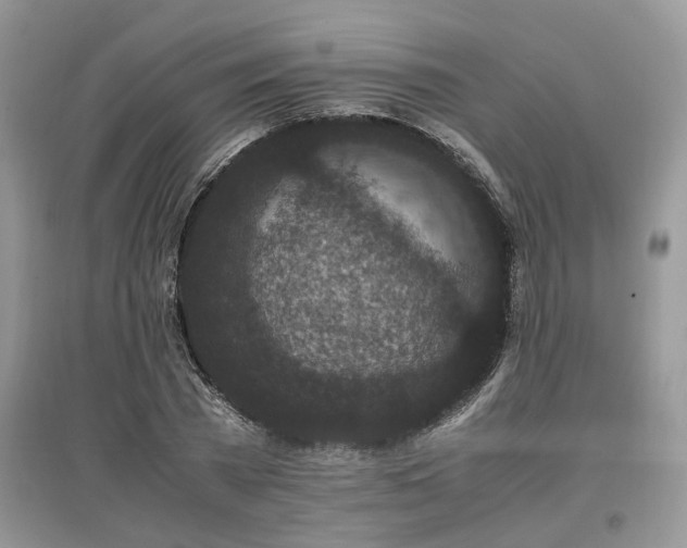 X0000097640785200803071552