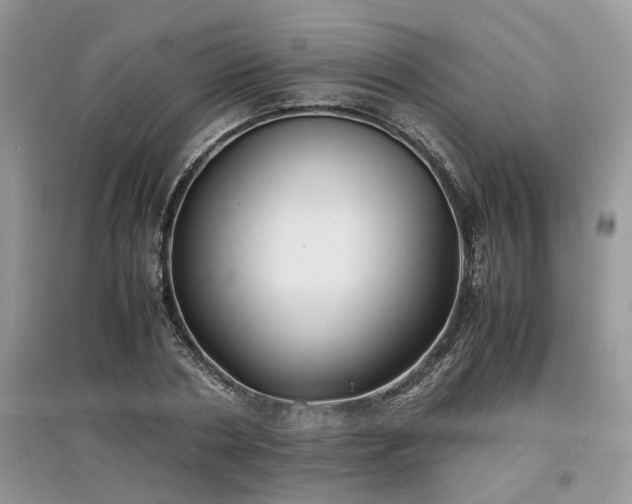 X0000097640786200803071552