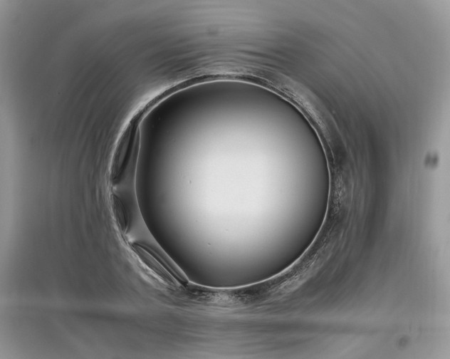 X0000097640787200803071552