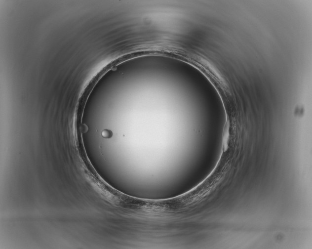 X0000097640788200803071552