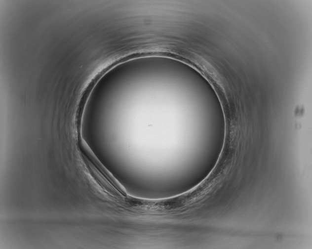 X0000097640789200803071552