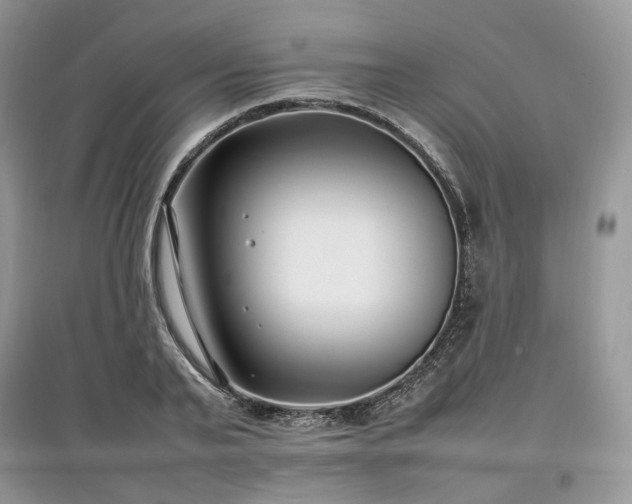 X0000097640791200803071552