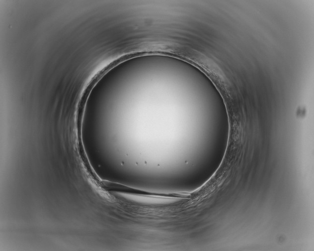 X0000097640792200803071552