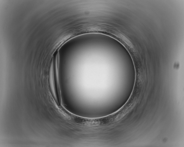 X0000097640793200803071552