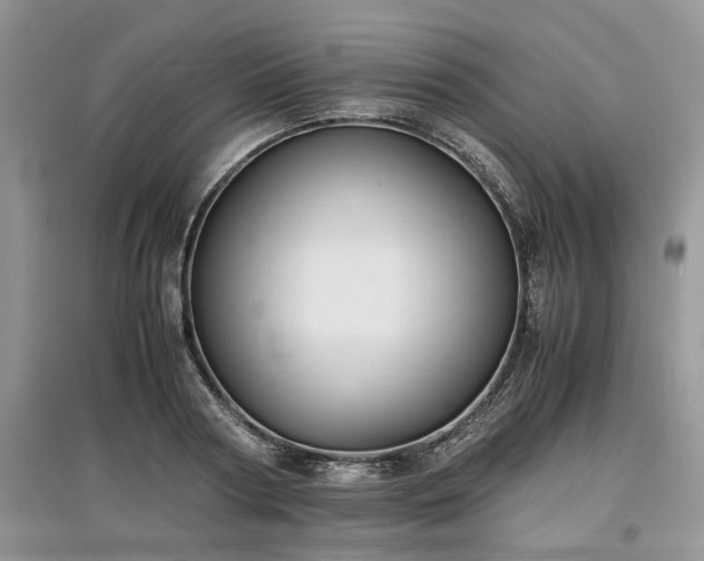 X0000097640794200803071552