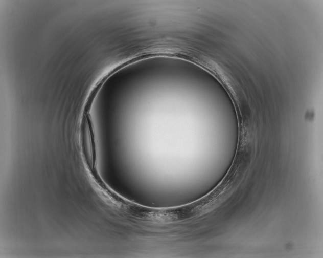 X0000097640795200803071552