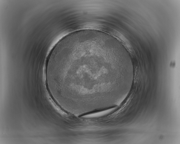 X0000097640796200803071552