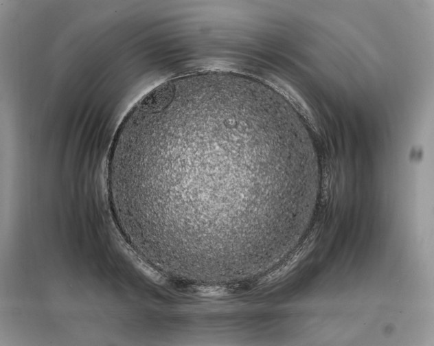 X0000097640798200803071552