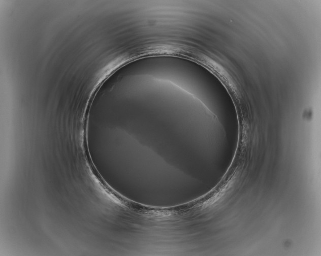 X0000097640802200803071552