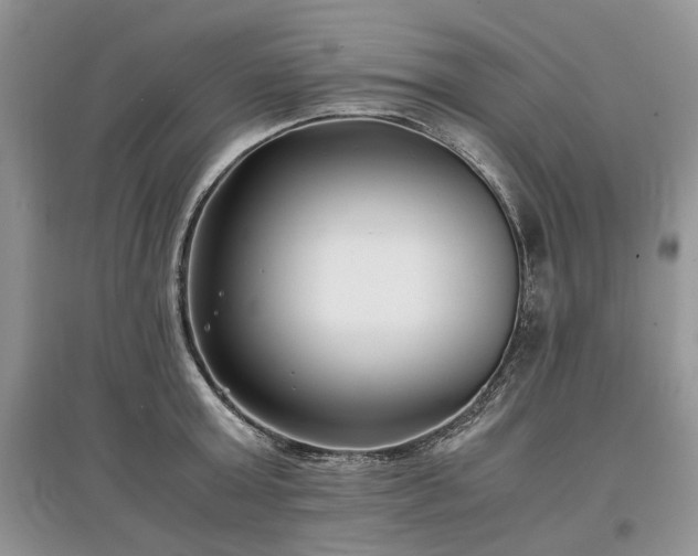 X0000097640803200803071552