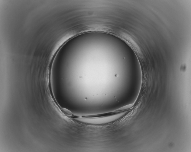 X0000097640804200803071552