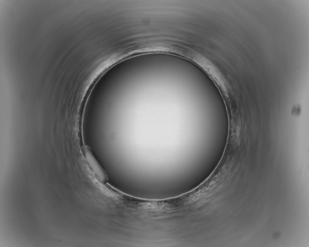 X0000097640805200803071552