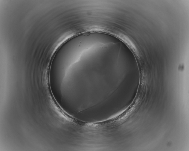 X0000097640806200803071552