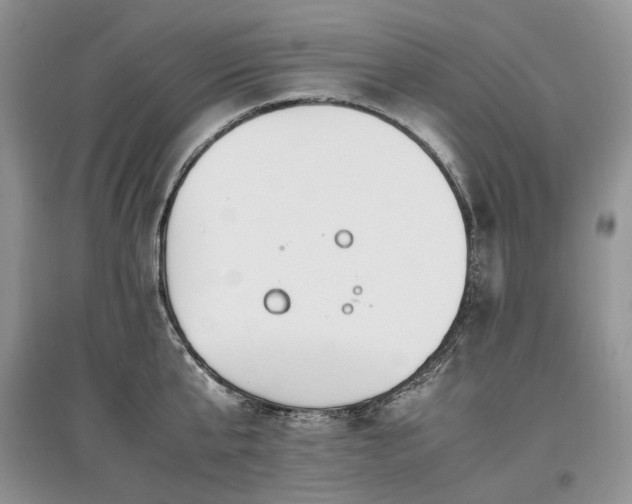 X0000097640807200803071552