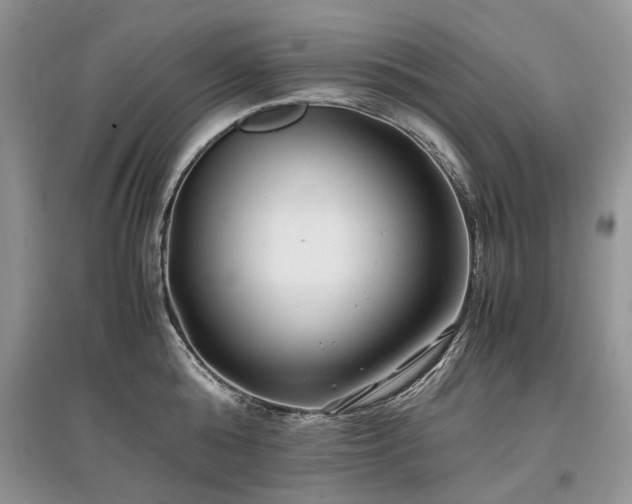 X0000097640808200803071552