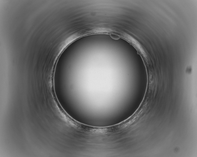 X0000097640810200803071552