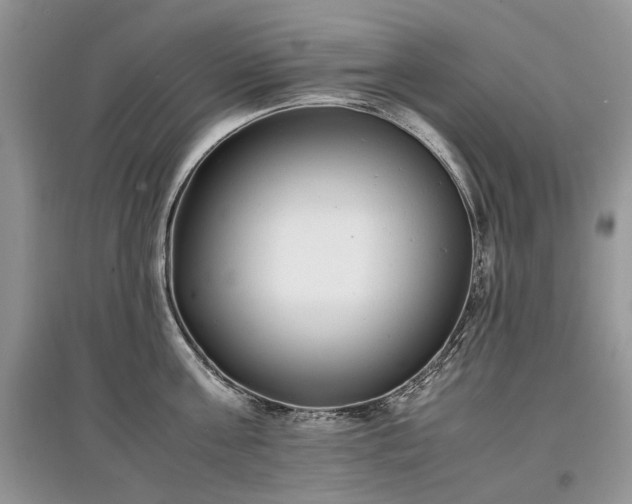 X0000097640811200803071551